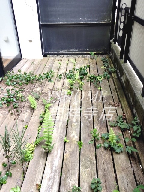 荻窪アパートメント ベランダ
