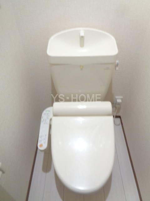 コンソラータ  その他1