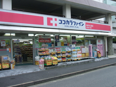 ザ・パークハウス東中野プレイス 周辺画像2