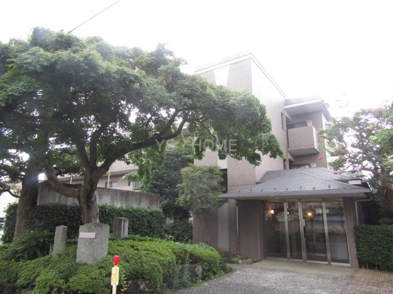 その他18
