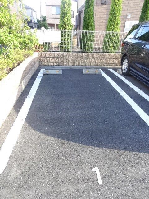 マグノリア その他1