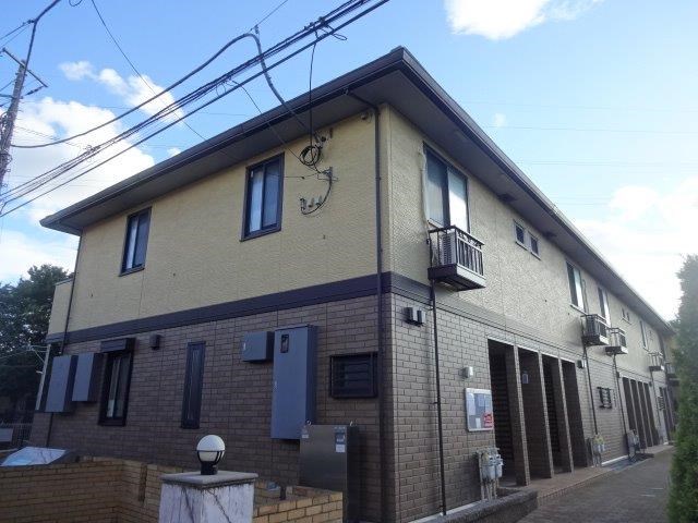マグノリア その他13