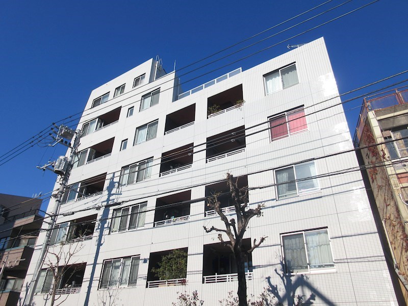 その他11