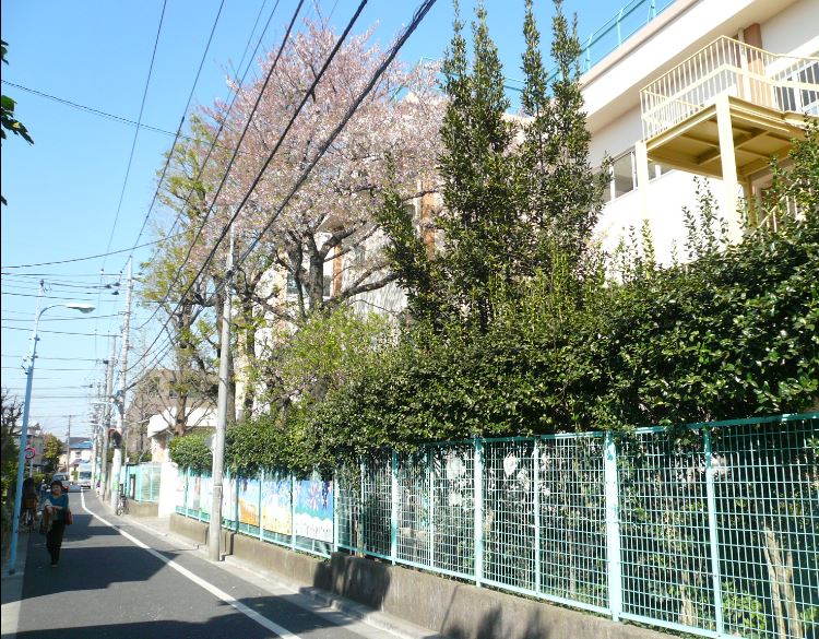 杉並区成田西　戸建て OZハウス 周辺画像4