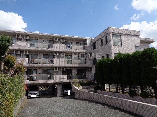 その他19