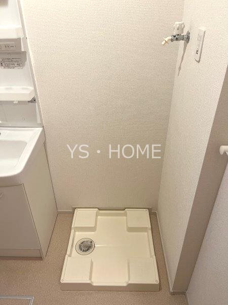 モヤ　パラチャ その他8