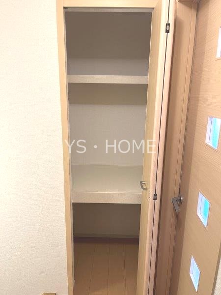 モヤ　パラチャ その他12