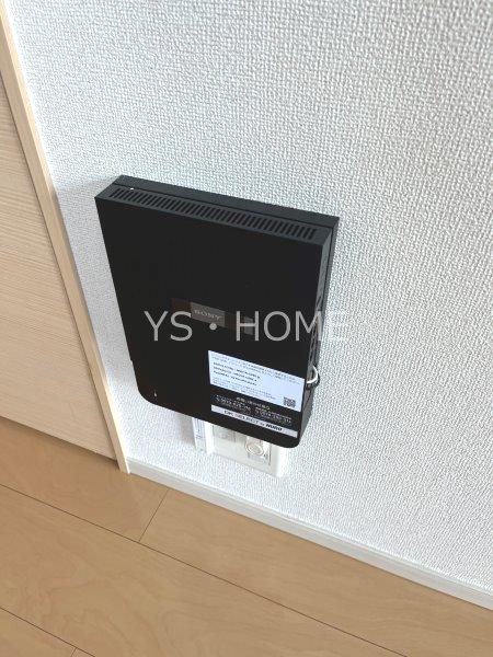 モヤ　パラチャ その他16