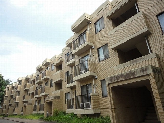 その他13