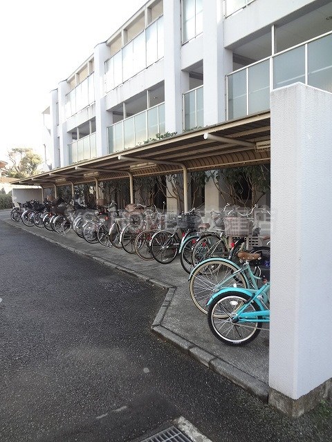 その他11