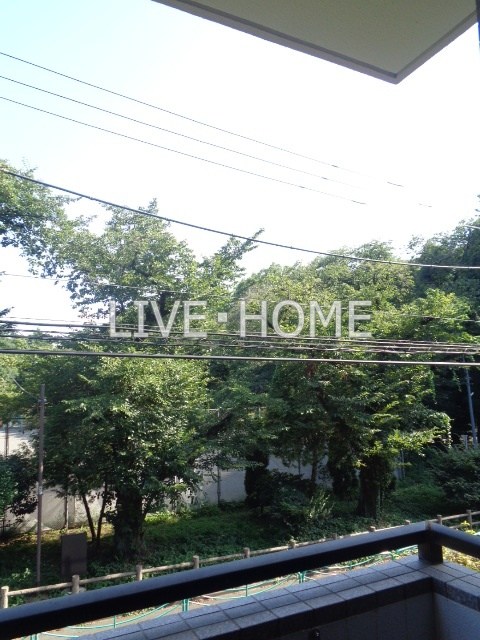 その他31