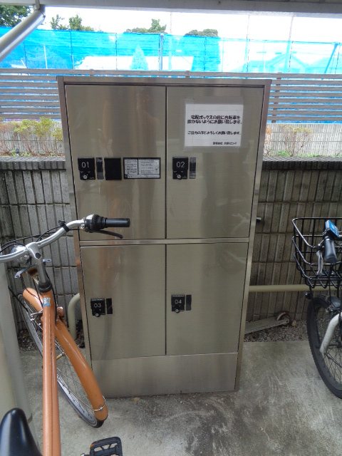 楓 その他1