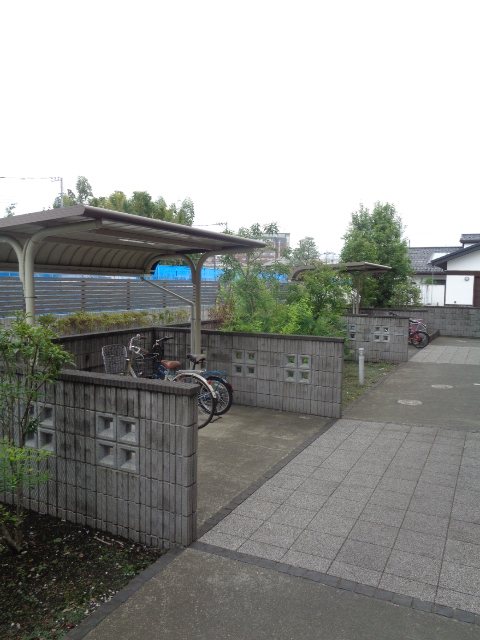 楓 その他9