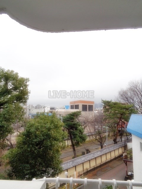 その他15