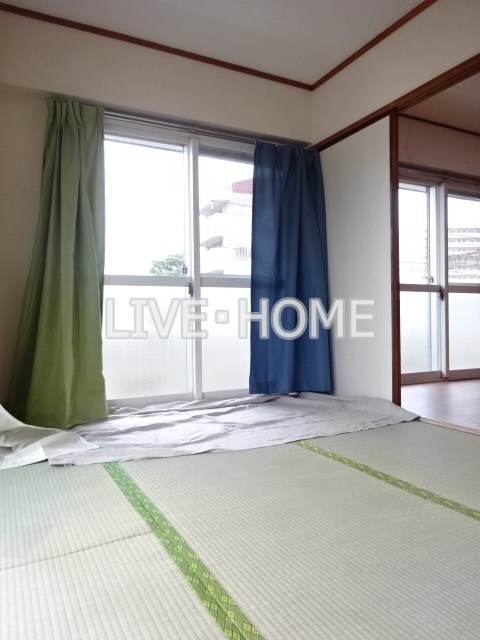 その他13