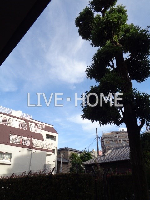 その他16
