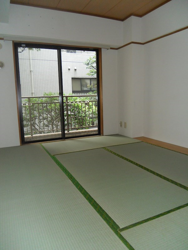 その他11