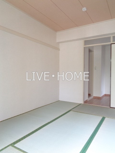 その他29
