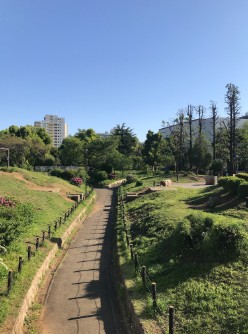 パークアクシス新宿百人町 周辺画像6