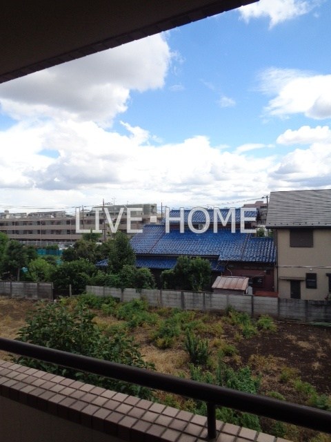 その他24