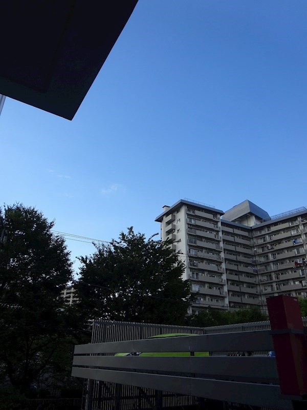その他9