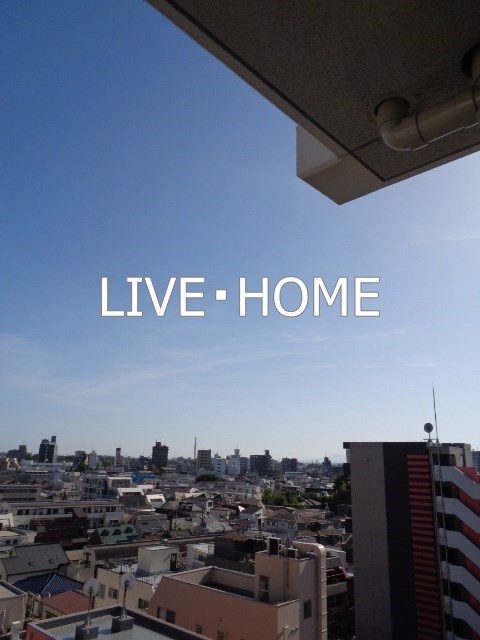 その他24