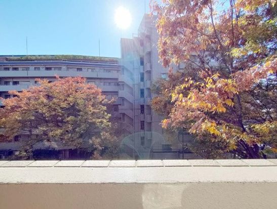その他13
