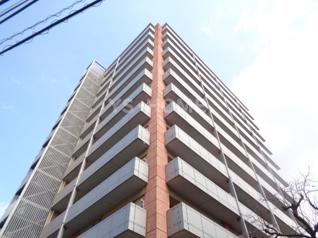 その他11