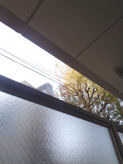 その他11