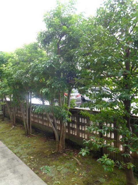 その他6
