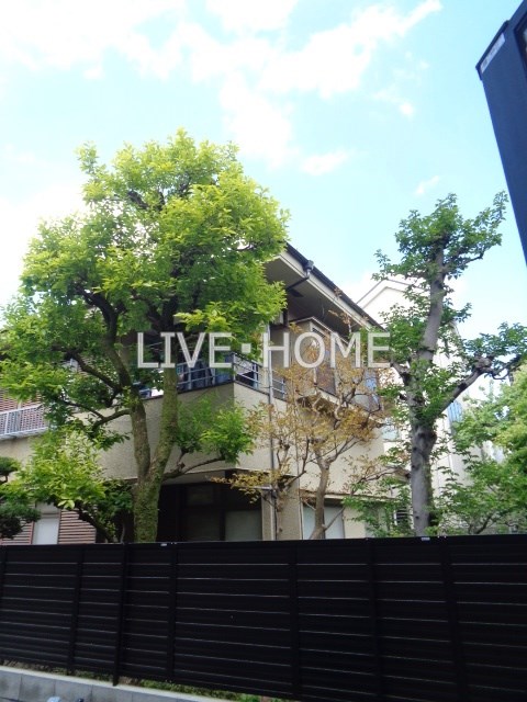 その他15