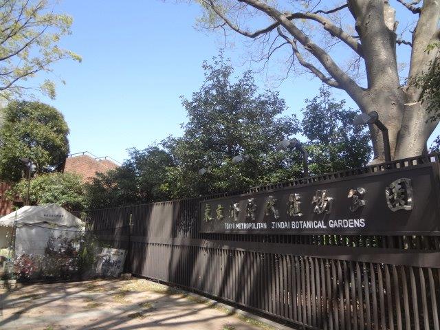 ミルクリーク深大寺テラス 周辺画像7