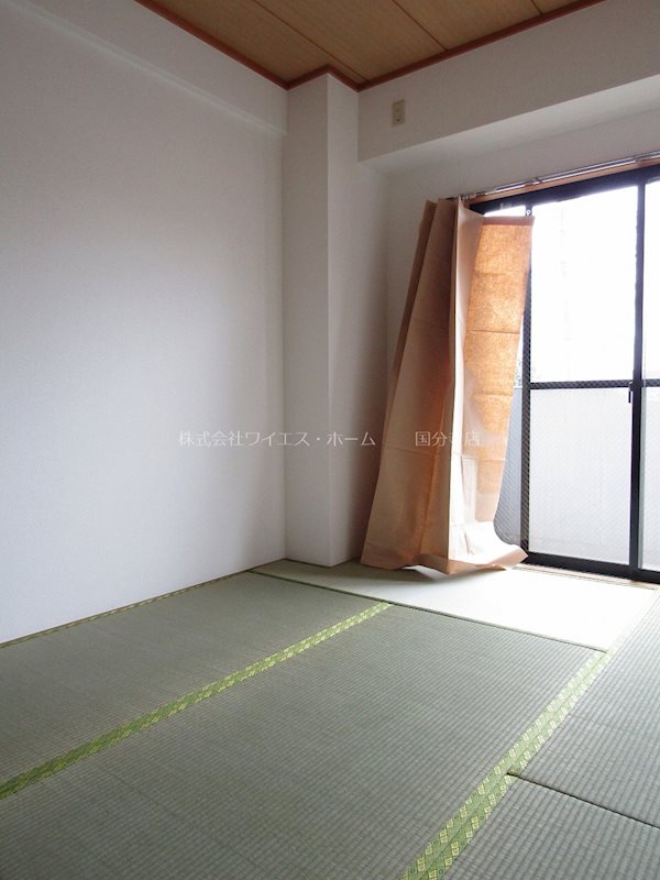 その他16