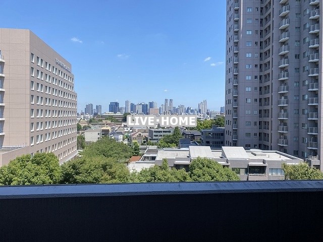 その他11