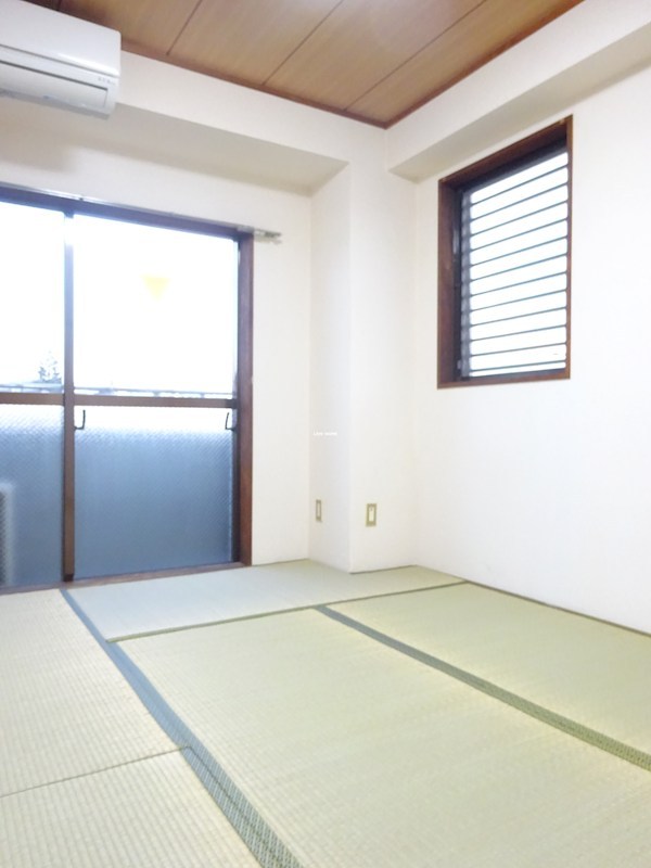 その他11