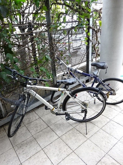 その他14