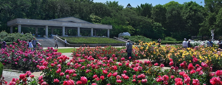 パークヒル五丁山 周辺画像7
