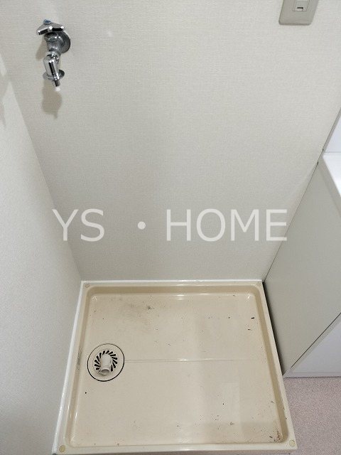 プレミールニイヤ その他