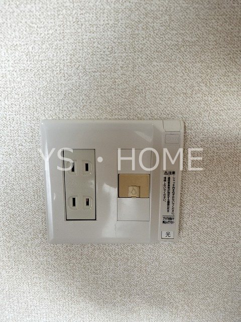 プレミールニイヤ その他