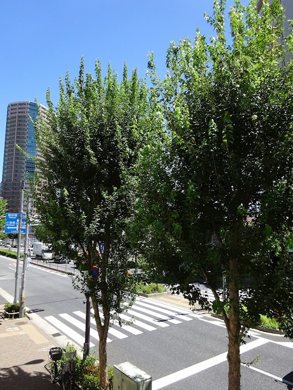 その他2