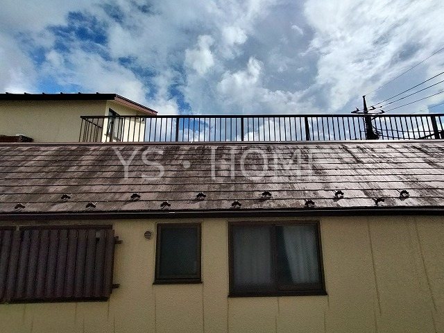 VIZAVI　Ⅱ その他6