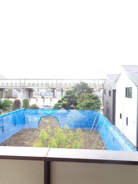 楓 その他36