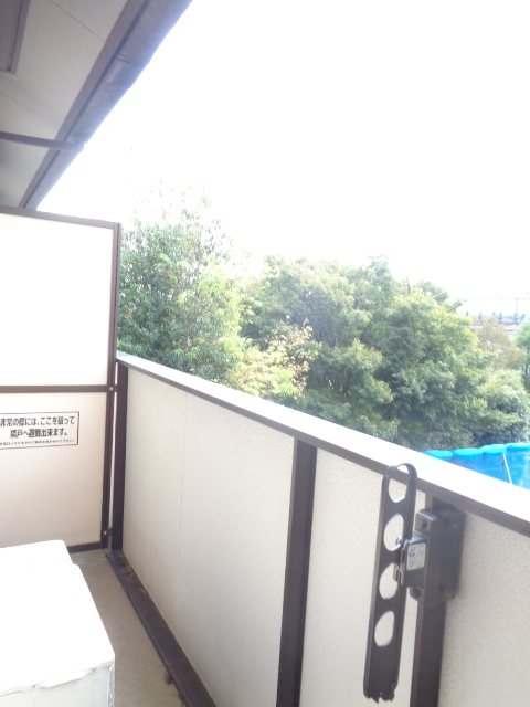 楓 ベランダ