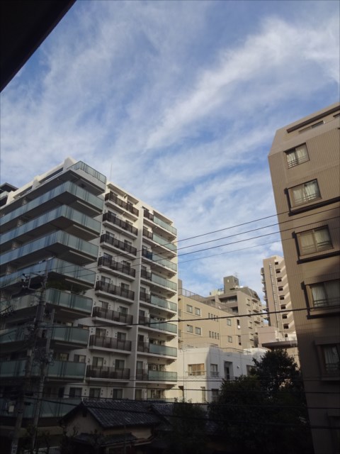 その他36