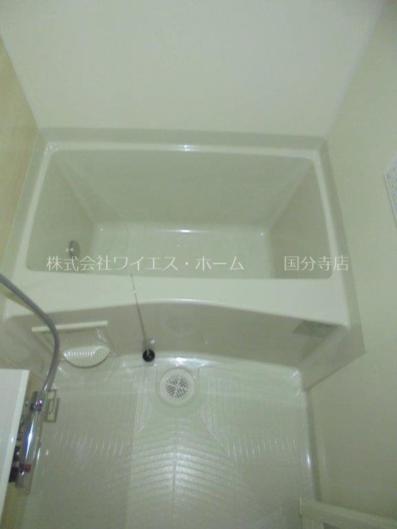 ヴィーナス その他8