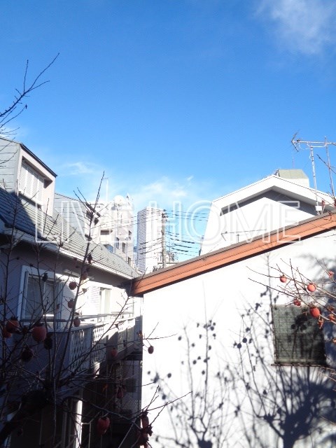 その他11