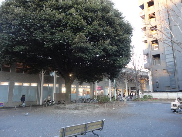コーポレート小金井梶野通り１号棟 周辺画像4