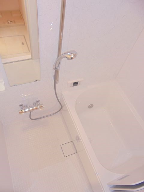 清流しらさぎ その他8