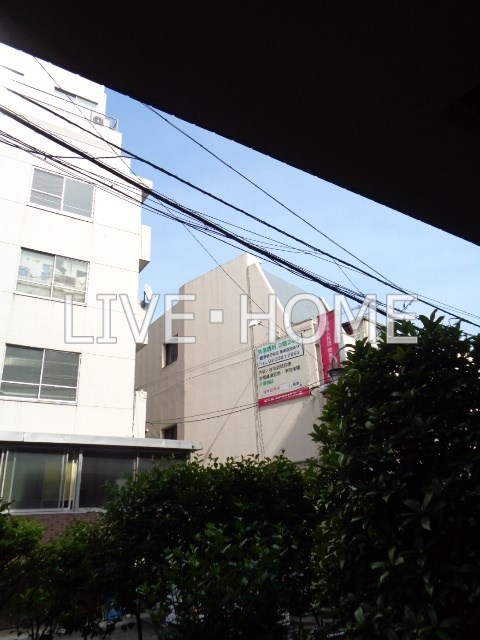 その他11