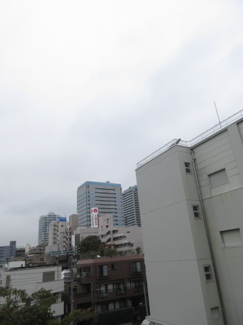 ウィスタリア中野 眺望